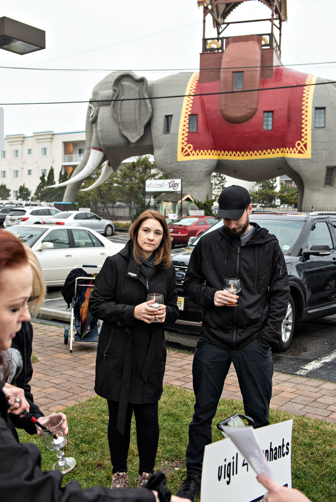 010520_nws_elephants